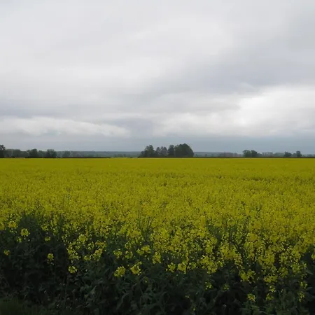 Landpension Oderbruch Neuwustrow