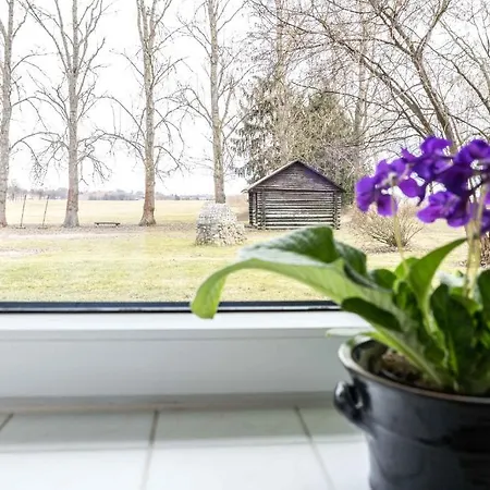Landpension Oderbruch Guest house