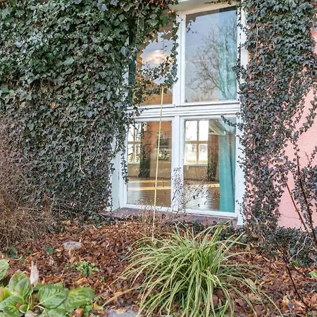 Landpension Oderbruch Guest house